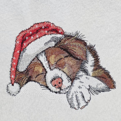 Sleepy Australian Shepherd