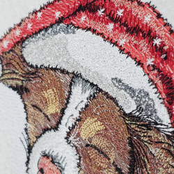 Sleepy Australian Shepherd