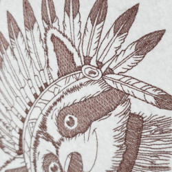 Tribal Feathered Raccoon