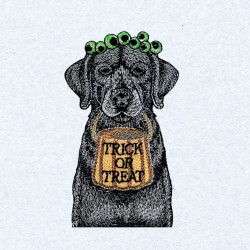 Trick Or Treat Halloween Dog