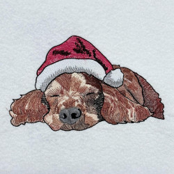 Winter Sleepy Dog