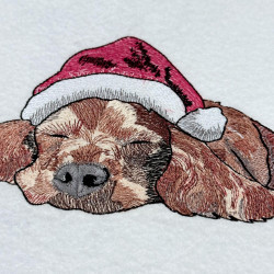 Winter Sleepy Dog