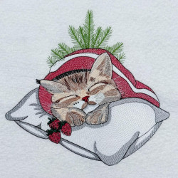 Winter Sleepy Kitten