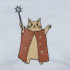 Wizard Cat
