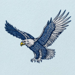 American  Bald Eagle