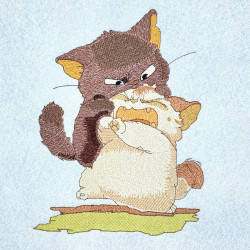 Angry Playful Kitten