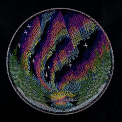 Aurora Forest Scene