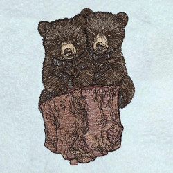 Bear Pair On Log