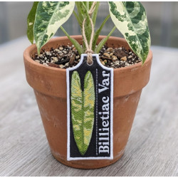 Billietiac Var ITH Plant Tag
