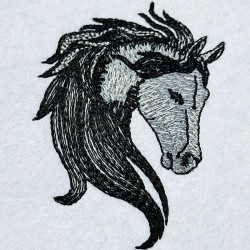 Black Horse Head