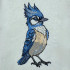 Blue Jay Bird
