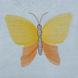 Bright Blending Butterfly
