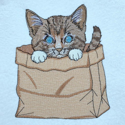 Brown Tabby Kitten In A Paper Bag