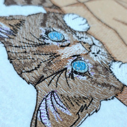 Brown Tabby Kitten In A Paper Bag