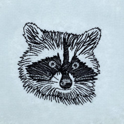 Calm Forest Raccoon