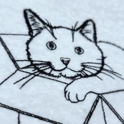 Cat In A Cardboard Box Line Art