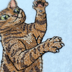 Cat Playing With Water Bubble