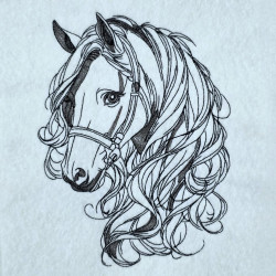 Classic Horse Portrait