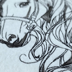 Classic Horse Portrait