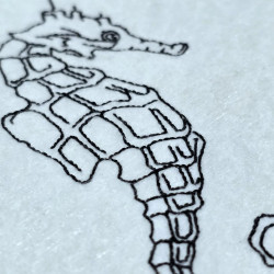 Coastal Seahorse Line Art