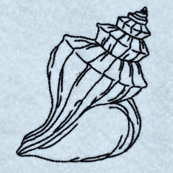Coastal Seashell Line Art