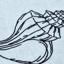 Coastal Seashell Line Art