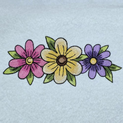 Colorful Daisy Flowers