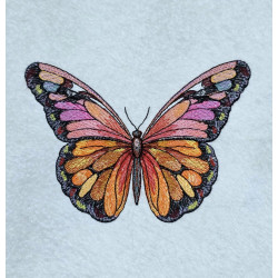 Colorful Wings Butterfly