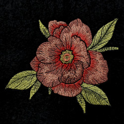 Coral Floral Bloom