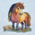 Country Pony Design
