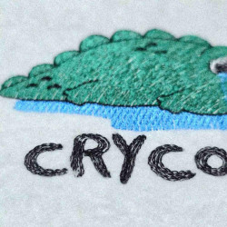 Crycodile Funny Pun