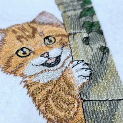 Curious Tabby Peeking Cat