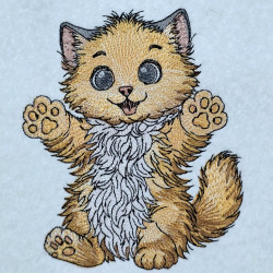 Cute Kitty