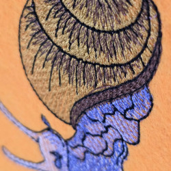 Cute Snail