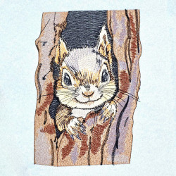 Cute Squirrel Peeking From Tree