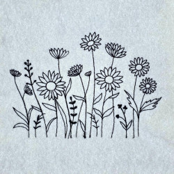 Dandelion And Daisy Field