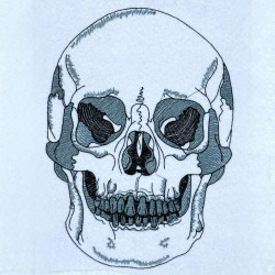 Dark Outline Human Skull
