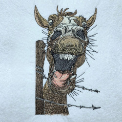 Dramatic Horse At Fence