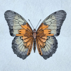 Earthy Tone Butterfly