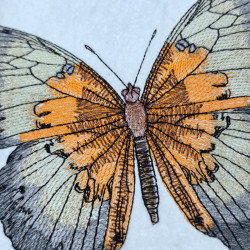 Earthy Tone Butterfly