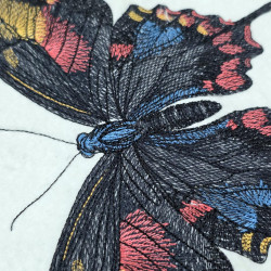 Elegant Butterfly Design