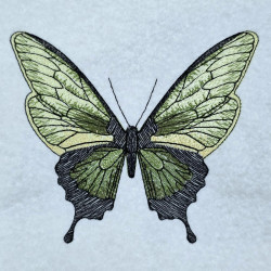 Elegant Green Butterfly