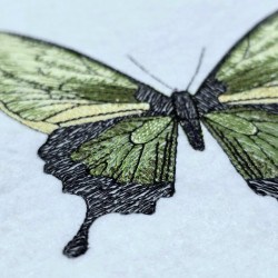 Elegant Green Butterfly