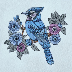 Floral Blue Jay On Branch