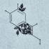 Floral Chemistry Pattern