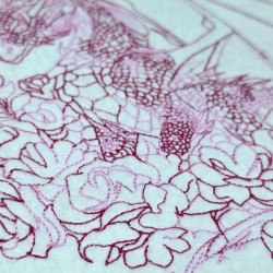 Floral Dragon Line Art