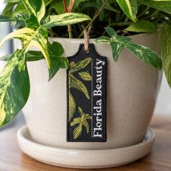 Florida Beauty ITH Plant Tag