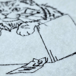 Fluffy Cat In Box Line Art