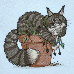 Fluffy Cat On Flower Pot