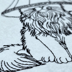 Fluffy Cat With Lamp On Head